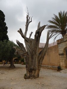 Crete-2015, 994_Arkadi_04
