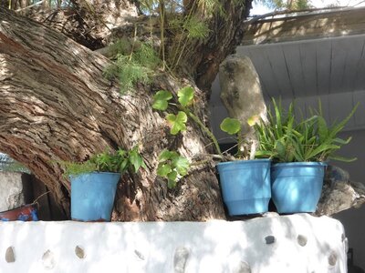Crete-2015, 976_sud_01