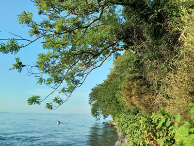 LAC LEMAN, P_20180803_194811_HDR