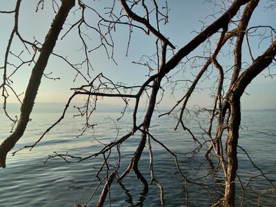 LAC LEMAN, P_20180803_195159_HDR