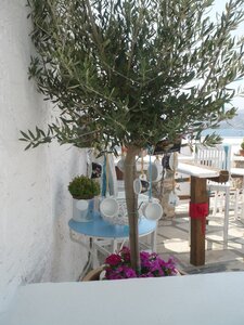 Cyclades-2013, 870_syros_02