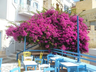 Cyclades-2013, 880_syros_04