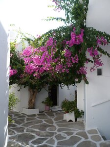 Cyclades-2013, 700_Paros_39
