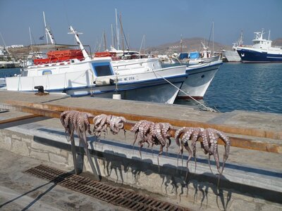 Cyclades-2013, 700_Paros_44