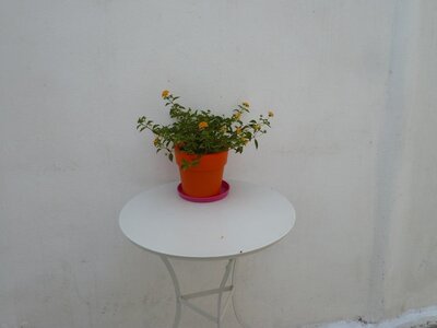 Cyclades-2013, 700_Paros_49