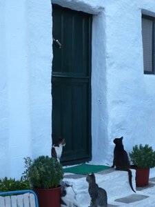 Cyclades-2013, 436_amorgos_02