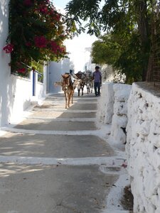 Cyclades-2013, 428_amorgos_02