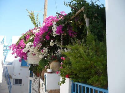 Cyclades-2013, 429_amorgos_01