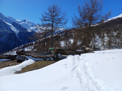 Raquettes au Col d'Anon, 20240307_131942