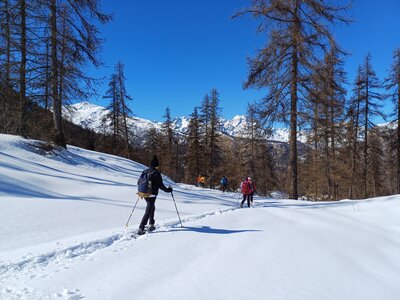 Raquettes au Col d'Anon, 20240307_143349