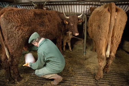 L'Instant Photo 84 : défi février 2024 - Agriculture et Paysans, agri12 - Philippe