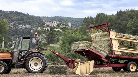 L'Instant Photo 84 : défi février 2024 - Agriculture et Paysans, agri14 - Cathy