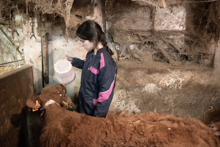 L'Instant Photo 84 : défi février 2024 - Agriculture et Paysans, agri16 - Philippe