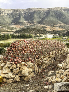 L'Instant Photo 84 : défi février 2024 - Agriculture et Paysans, agri19 - Corinne