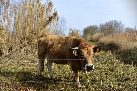 L'Instant Photo 84 : défi février 2024 - Agriculture et Paysans, agri21 - Max