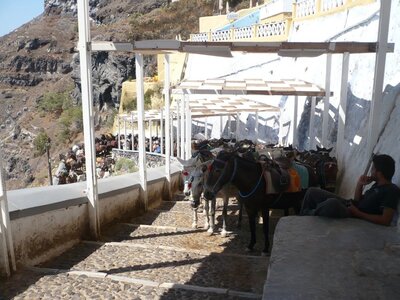 Cyclades-2013, 386_santorin_05