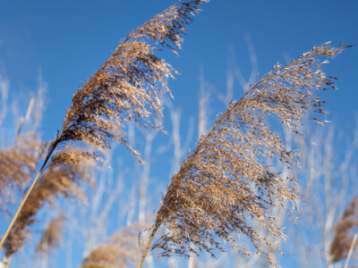 03-Camargue , _1094688-Modifier