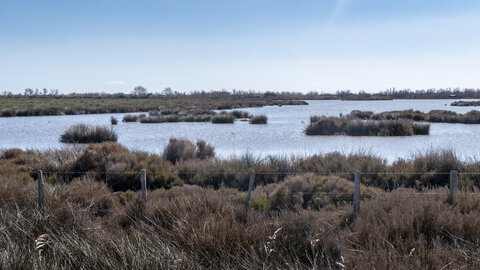 03-Camargue , _1094735