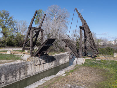 03-Camargue , _1094747