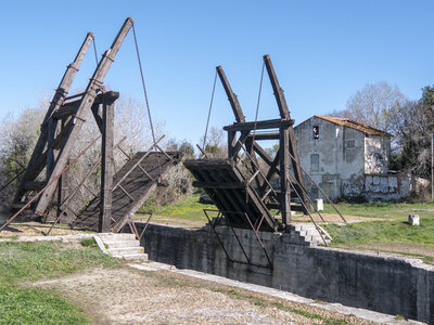 03-Camargue , _1094748