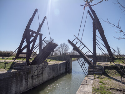 03-Camargue , _1094750