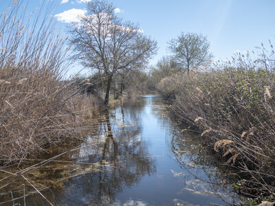 03-Camargue , _1094753