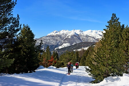 Raquettes au Col de la Crèche, Col de la Crèche 008