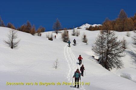 Raquettes au Col de la Crèche, Col de la Crèche 034