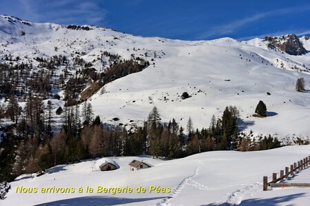 Raquettes au Col de la Crèche, Col de la Crèche 036