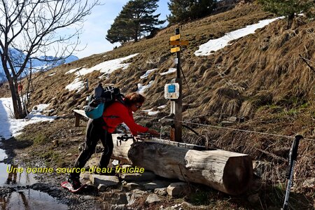 Raquettes au Col de la Crèche, Col de la Crèche 043