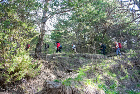Départ Pra Long - Circuit des Curattes 19032024, DSC_0037