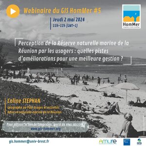 Webinaire du GIS HomMer #5, Webinaire GIS 5