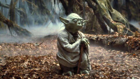 Appart, yoda