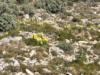 2024-03-17 Marseille Belvedere Titou Ninou, IMG_1725