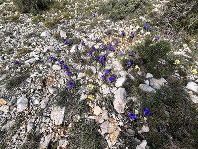 2024-03-17 Marseille Belvedere Titou Ninou, IMG_1727