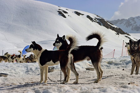 Tour du Plateau de Jujal en raquettes, Raquettes sur le Plateau de Jujal 008