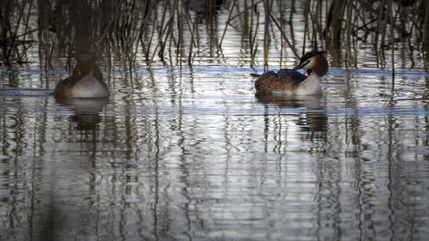 01-04-24_lac de Pellautier, _MG_9471