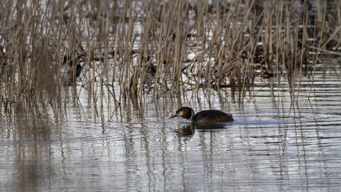 01-04-24_lac de Pellautier, _MG_9476