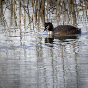 01-04-24_lac de Pellautier, _MG_9477