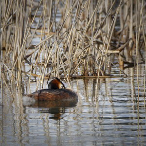 01-04-24_lac de Pellautier, _MG_9479