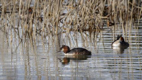 01-04-24_lac de Pellautier, _MG_9481