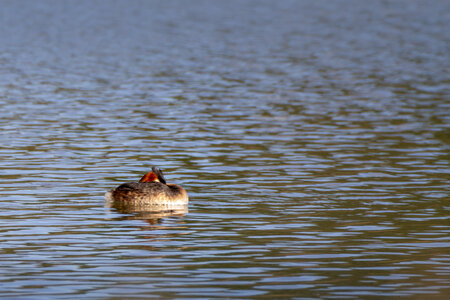 01-04-24_lac de Pellautier, _MG_9508