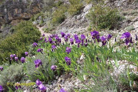 Les Gorges de la Méouge, Les Gorges de la Méouge 028