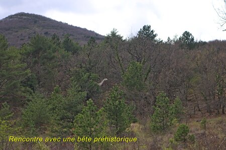 Les Gorges de la Méouge, Les Gorges de la Méouge 044