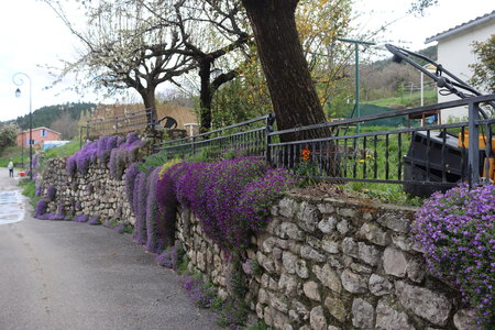 Les Gorges de la Méouge, Les Gorges de la Méouge 046