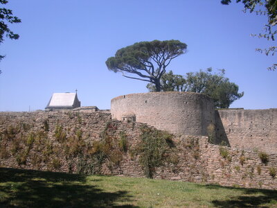 Clisson, 44191,  Loire Atlantique, France, ( le 24-07-2012)., BILD0567