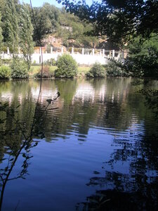 Clisson, 44191,  Loire Atlantique, France, ( le 24-07-2012)., BILD0585