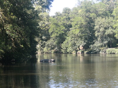 Clisson, 44191,  Loire Atlantique, France, ( le 24-07-2012)., BILD0595