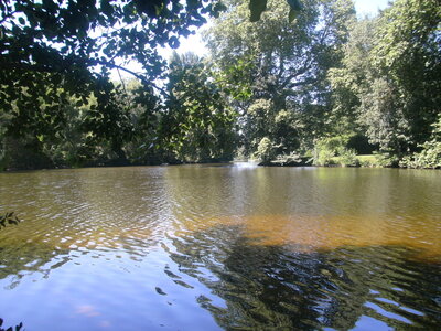 Clisson, 44191,  Loire Atlantique, France, ( le 24-07-2012)., BILD0599