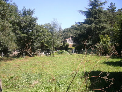 Clisson, 44191,  Loire Atlantique, France, ( le 24-07-2012)., BILD0603